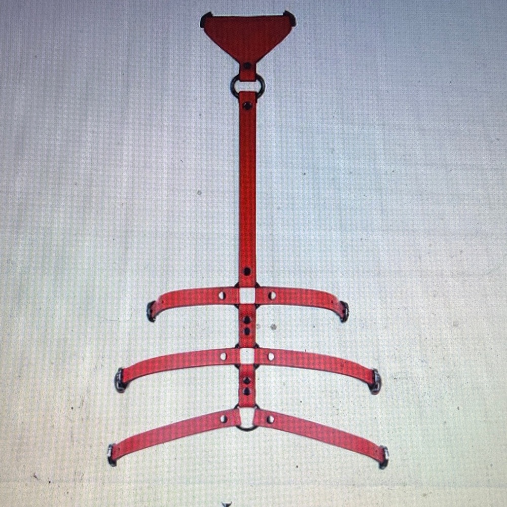 0770 Roxane Red Leather Harness